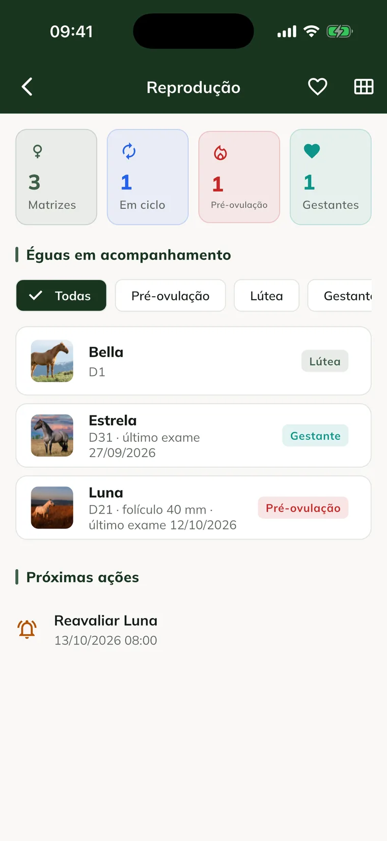 Tela Reprodução no app, com as dicas do cavalinho, os contadores, as éguas em acompanhamento e as próximas ações