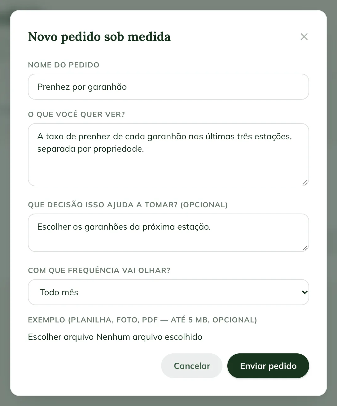 Janela Novo pedido sob medida na web, com Nome do pedido, O que você quer ver, Que decisão isso ajuda a tomar e Com que frequência vai olhar