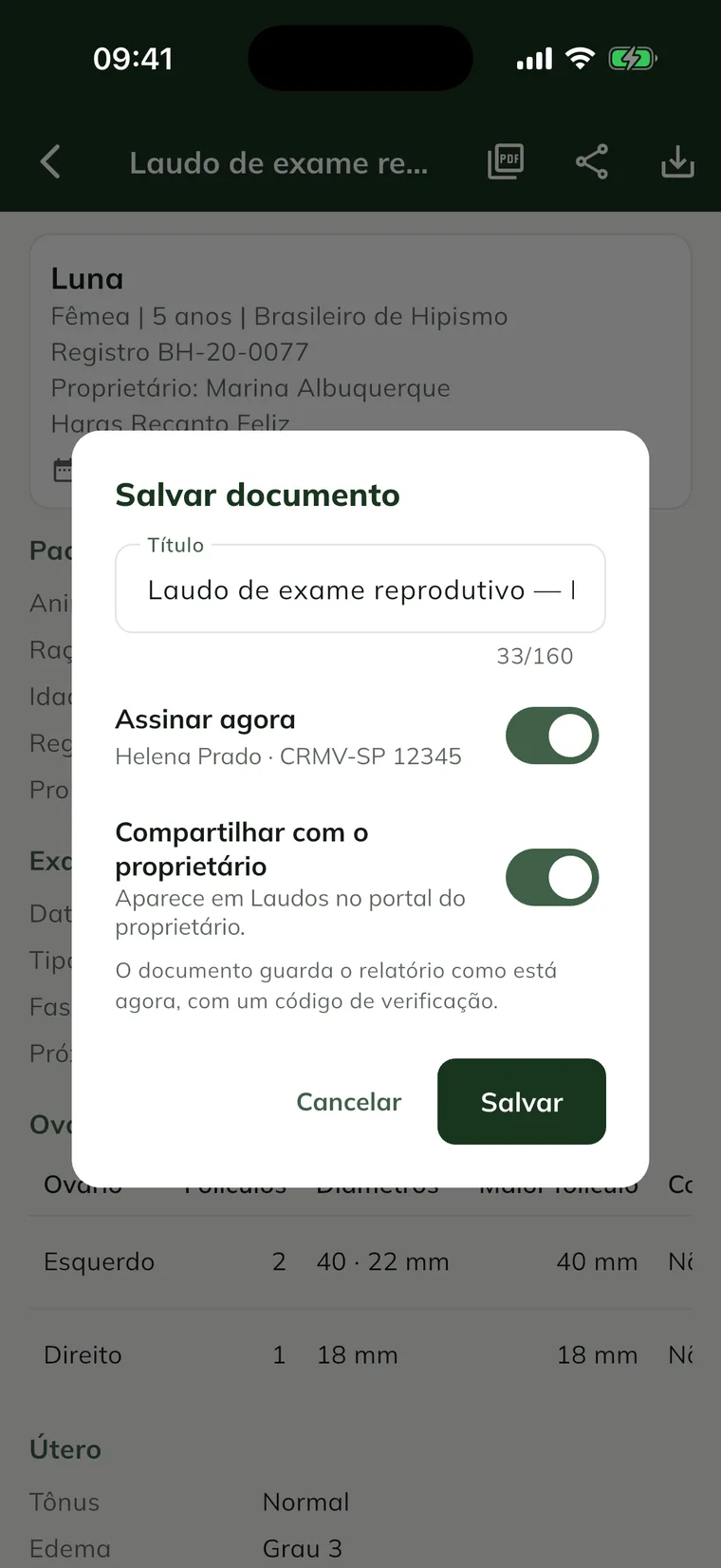 Fenster Save document in der App, mit Title, Sign now und Share with the owner