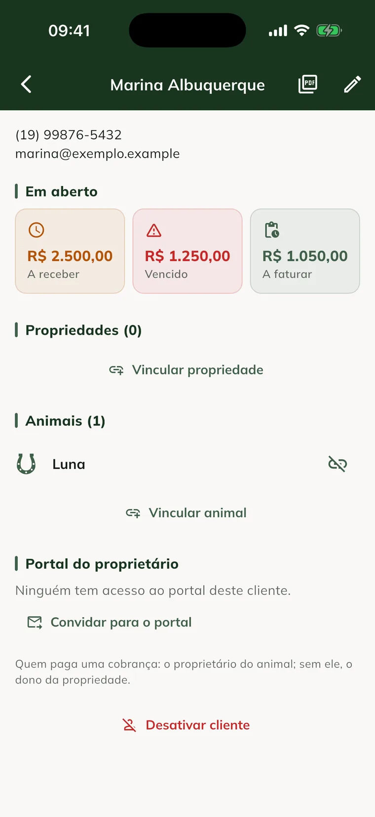 Record of the client Marina Albuquerque in the app, with Open, Properties, Animals and Owner portal