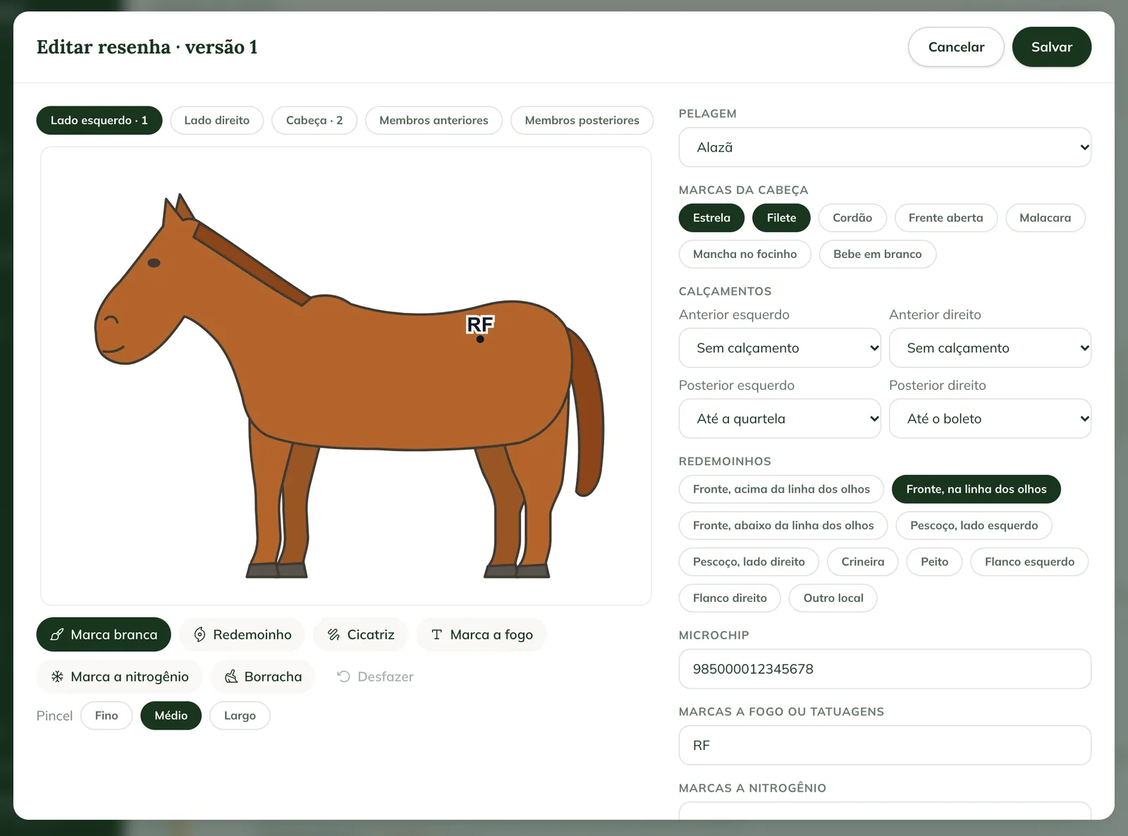 Edit markings window on the web, with the horse views, the drawing of the left side, the tools and the Coat color, Head markings, Leg markings and Whorls fields