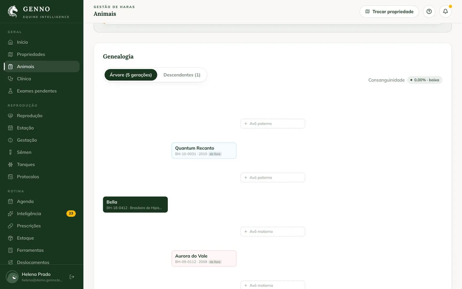 Pedigree of the mare Bella on the web, with the 5-generation tree, the sire Quantum Recanto, the dam Aurora do Vale, the slots for the grandparents and the inbreeding