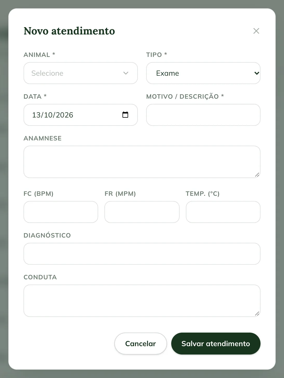 New visit window on the web, with Animal, Type, Date, Reason / description, History, vital signs, Diagnosis and Plan