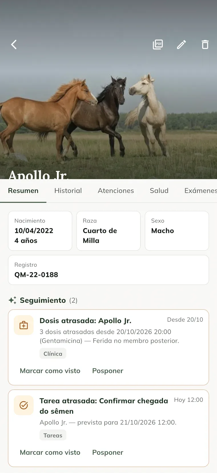 Ficha de la yegua Nina en la app, con la foto, las pestañas Resumen, Historial, Atenciones y Salud, los datos del animal y el Seguimiento