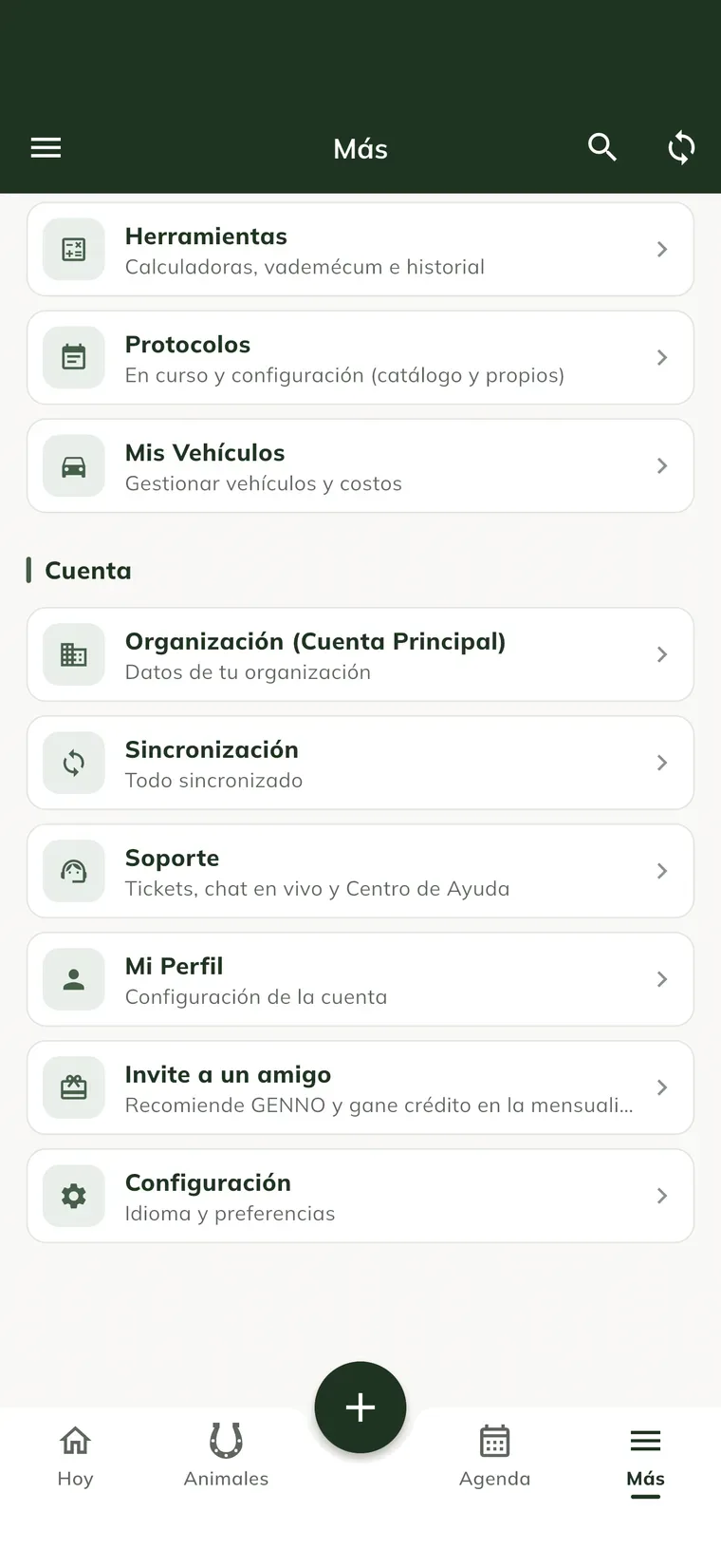 Menú Más de la app, con Organización (Cuenta Principal), Sincronización, Mi Perfil, Invite a un amigo y Configuración