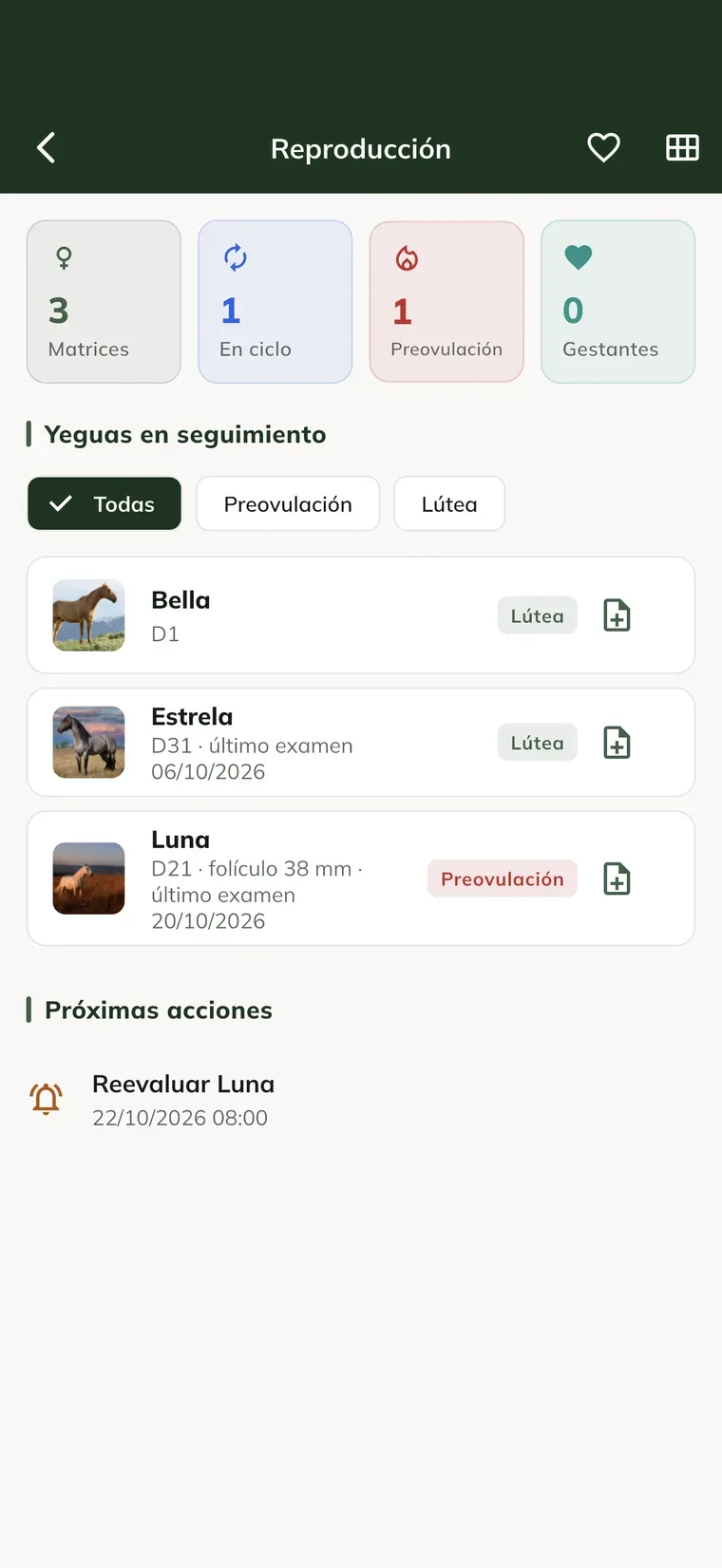 Pantalla Reproducción en la app, con los consejos del caballito, los contadores, las yeguas en seguimiento y las próximas acciones