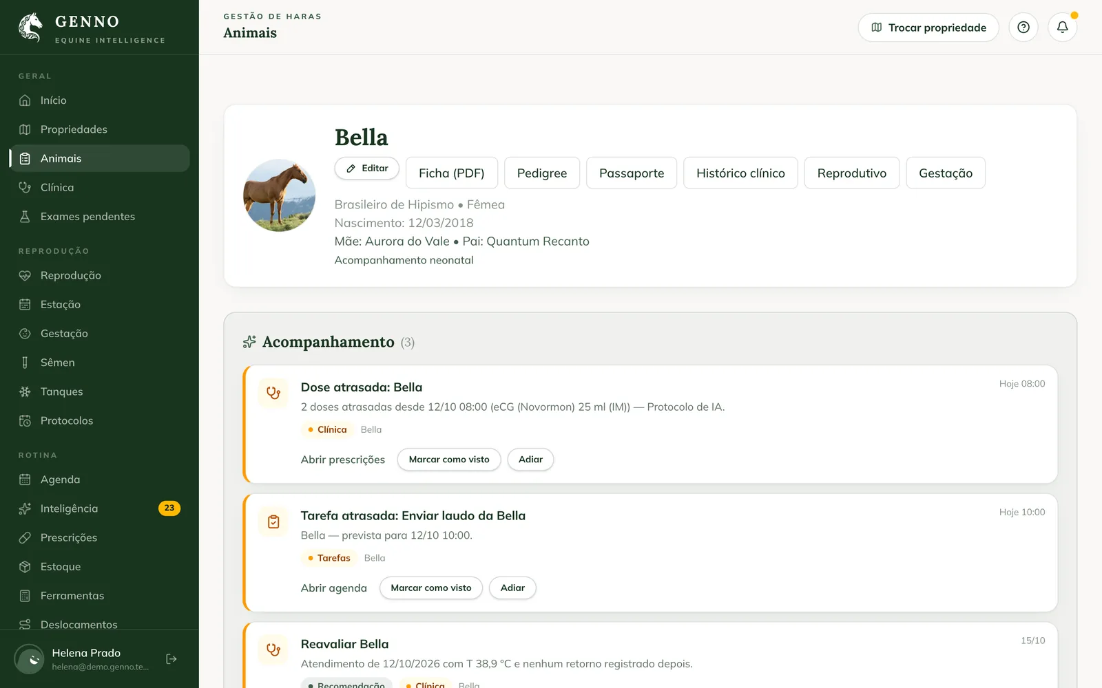 Encabezado de la ficha de la yegua Bella en la web, con los botones Editar, Ficha (PDF), Pedigrí, Pasaporte, Historial clínico, Reproductivo y Gestación, y el Seguimiento