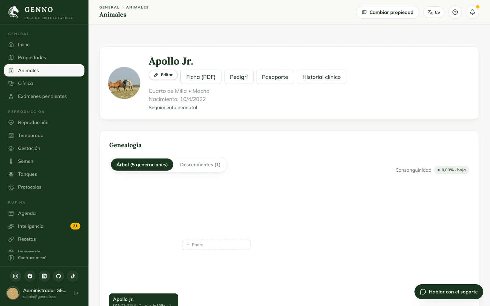 Encabezado de la ficha de la yegua Bella en la web, con los botones Editar, Ficha (PDF), Pedigrí, Pasaporte, Historial clínico, Reproductivo y Gestación, y el Seguimiento