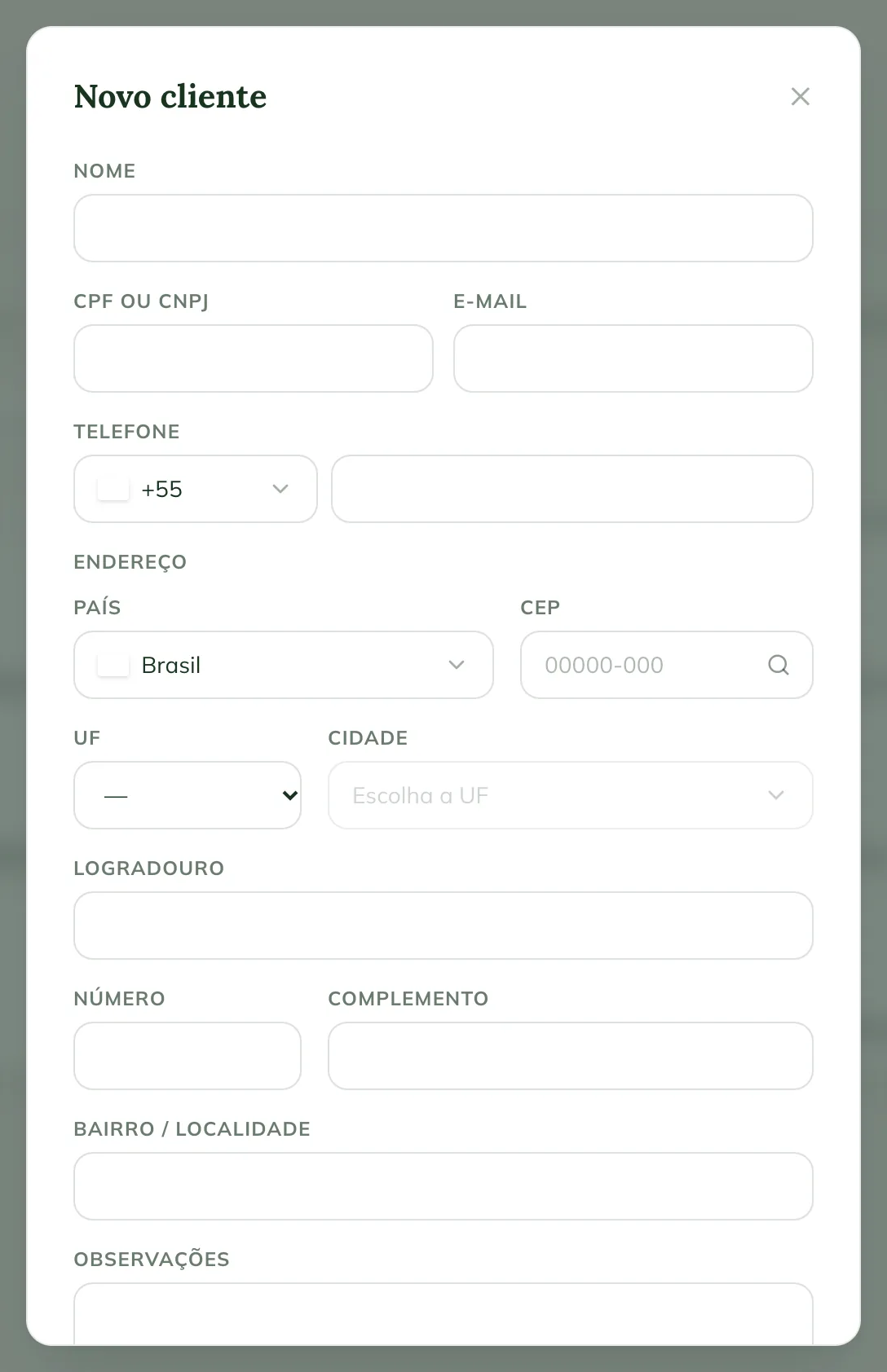 Ventana Nuevo cliente en la web, con Nombre, CPF o CNPJ, Correo electrónico, Teléfono, Dirección y Observaciones