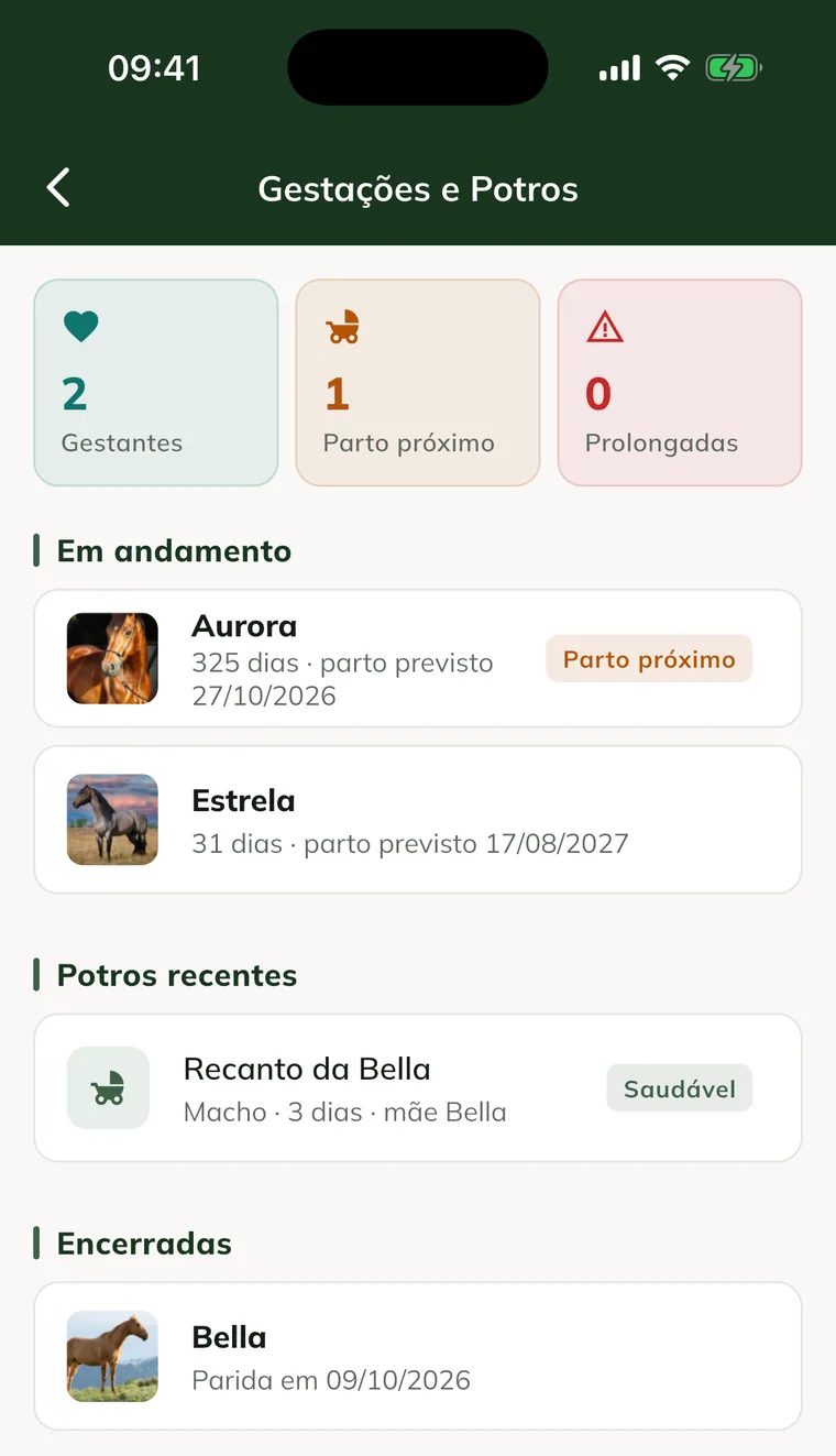 Pregnancies and Foals screen in the app, with the counters, the pregnancies in progress, the recent foals and the closed ones
