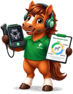 Le cheval GENNO avec un échographe portable et le graphique du cycle reproducteur