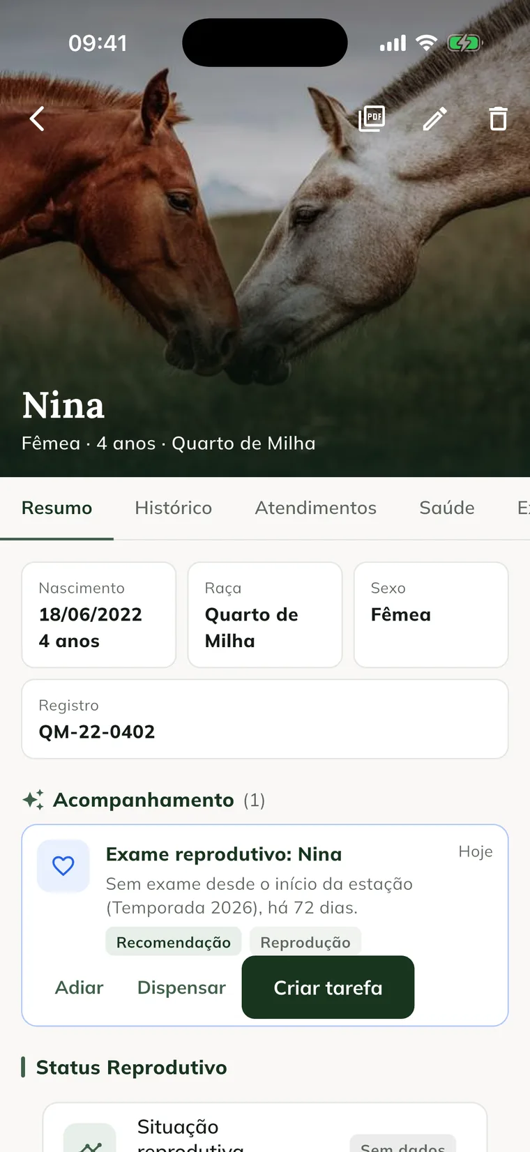Scheda della giumenta Nina nell'app, con la foto, le schede Summary, History, Visits e Health, i dati dell'animale e il Follow-up