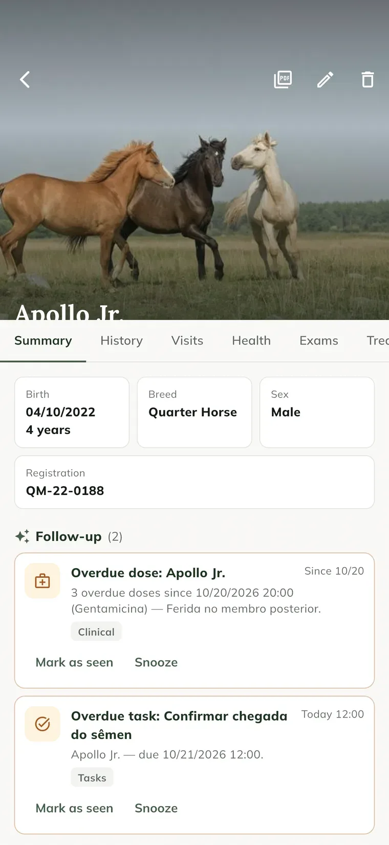 Scheda della giumenta Nina nell'app, con la foto, le schede Summary, History, Visits e Health, i dati dell'animale e il Follow-up