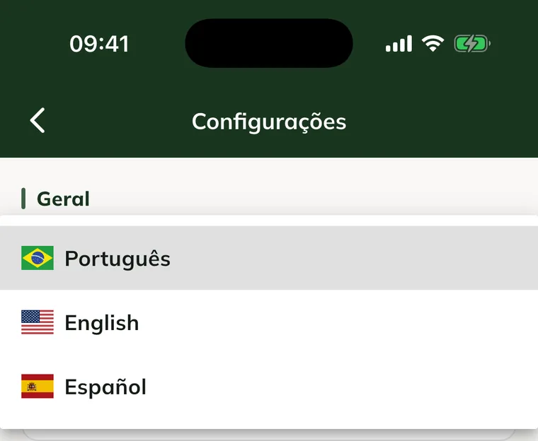 Elenco App language nelle Settings dell'app, con Português, English e Español