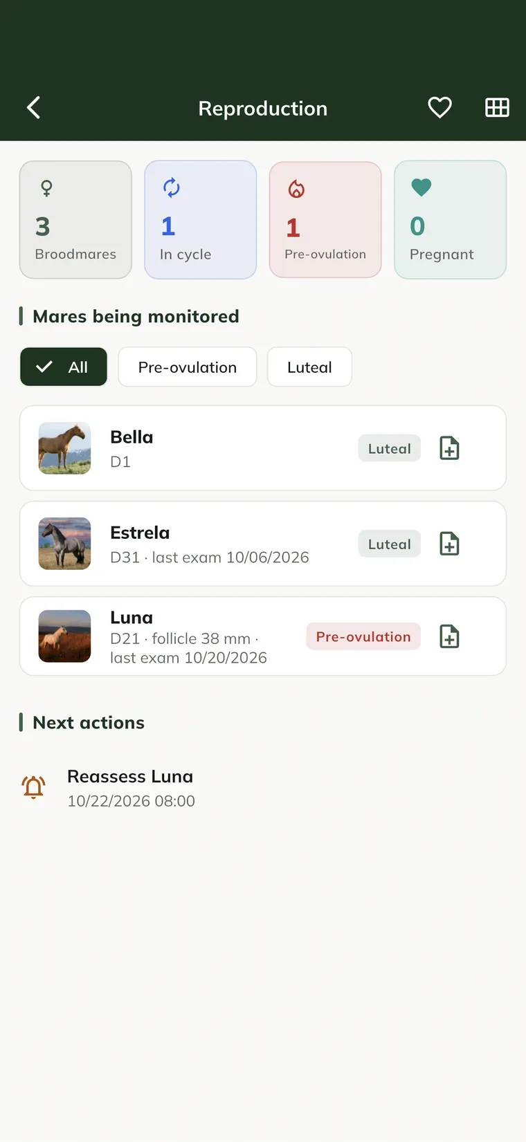Schermata Reproduction nell'app, con i consigli del cavallo, i contatori, le giumente monitorate e le prossime azioni